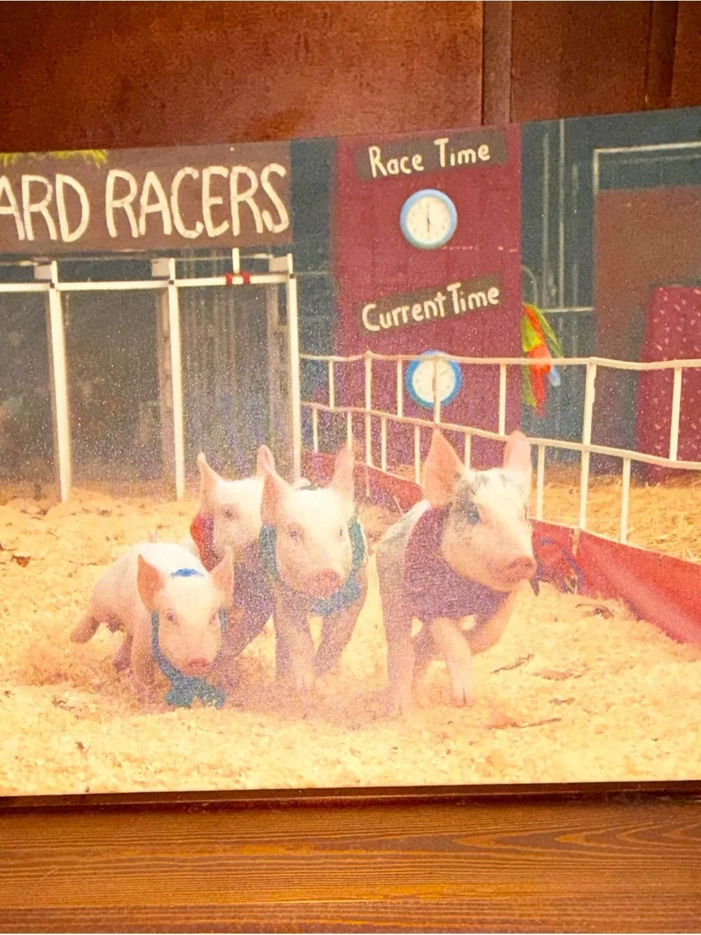 “Racing Piggies” 12x16 Canvas Wall Art Barnyard Farmhouse Pig Wall Art Decor